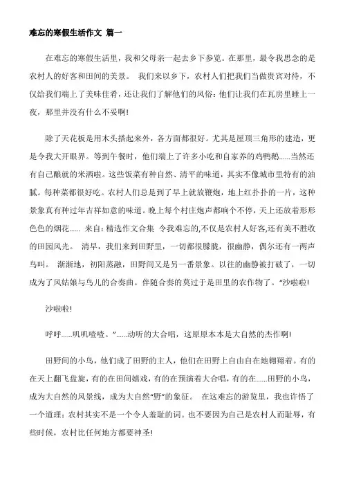 难忘的寒假生活500字