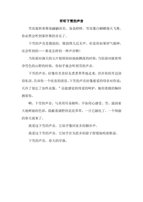 2.下雪的声音(类文)(3)