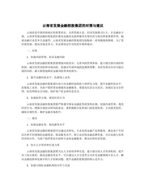 云南省发展金融控股集团的对策与建议