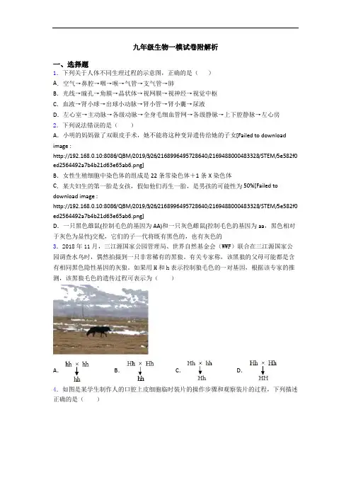 九年级生物一模试卷附解析