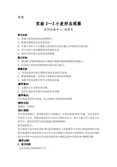 实验2小麦的形态特征观察教案