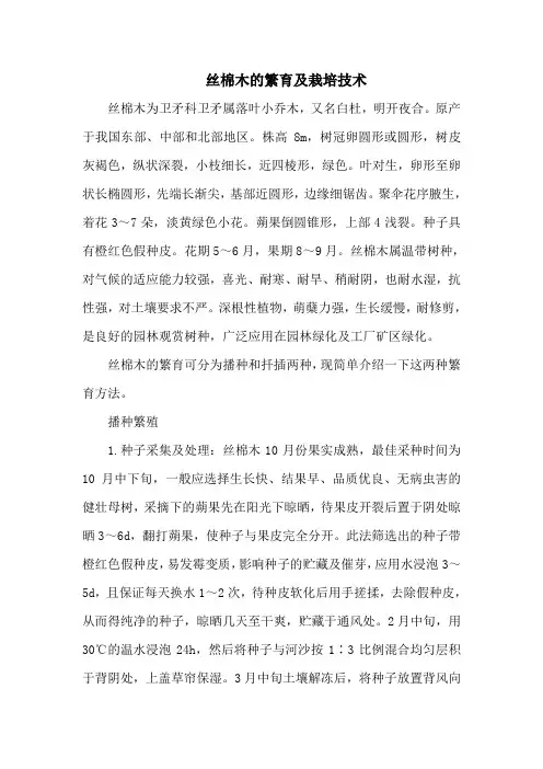 丝棉木的繁育及栽培技术