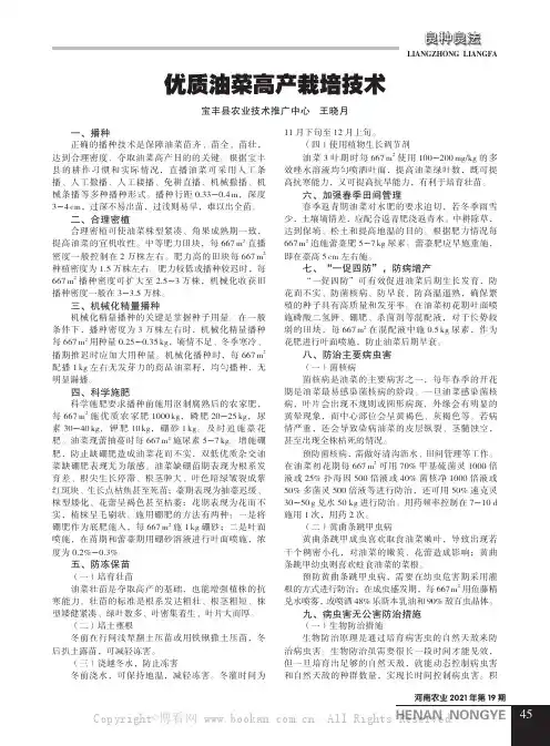 优质油菜高产栽培技术