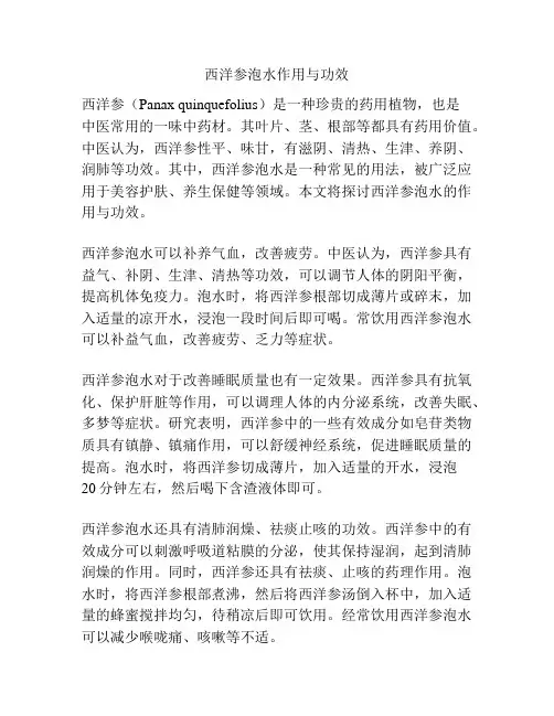 西洋参泡水作用与功效