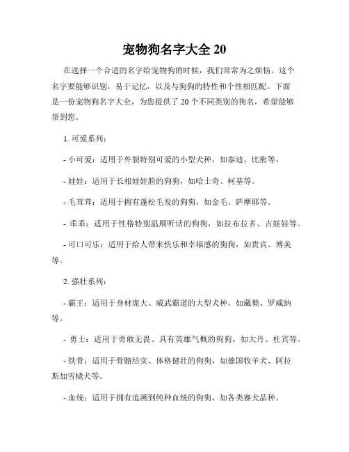 宠物狗名字大全20