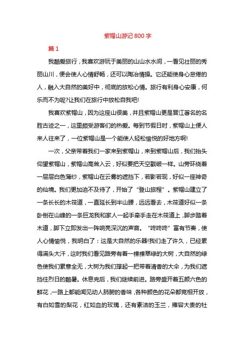 紫帽山游记800字