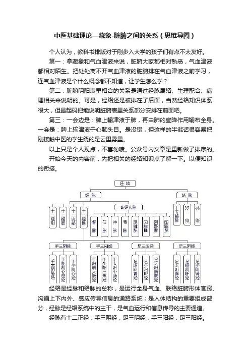 中医基础理论—藏象-脏腑之间的关系（思维导图）