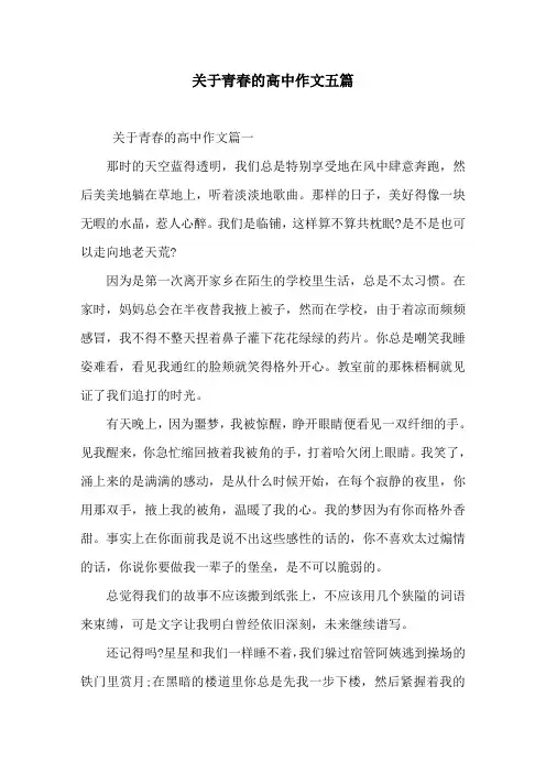 关于青春的高中作文五篇