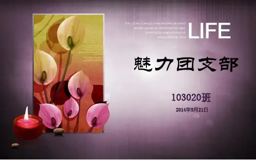 魅力团支部PPT展示