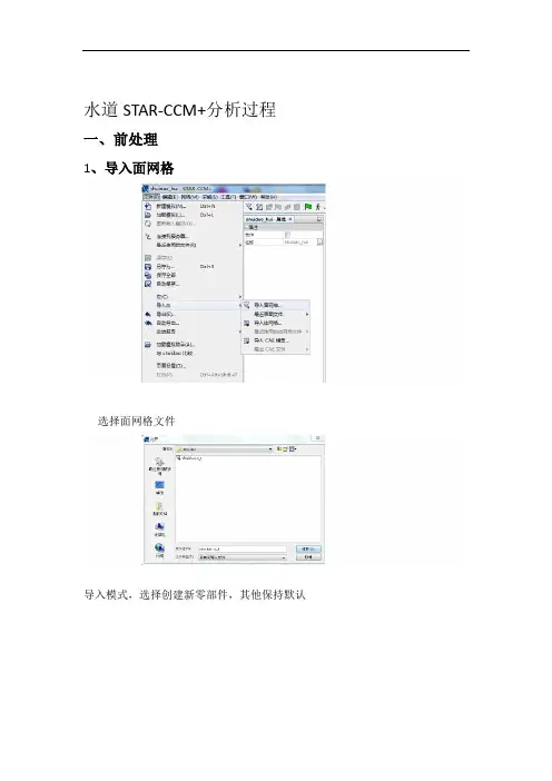 水道STARCCM分析过程