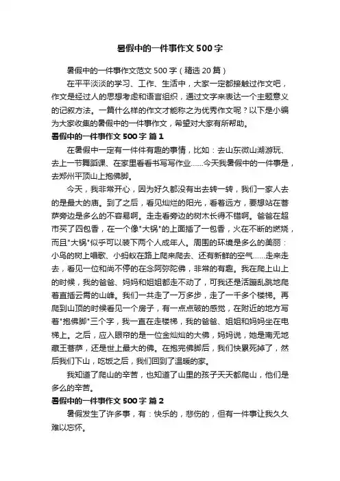 暑假中的一件事作文500字