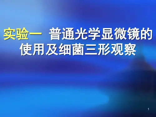 普通光学显微镜的使用及细菌三形观察模板ppt课件