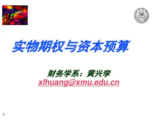 [管理学]实物期权与资本预算