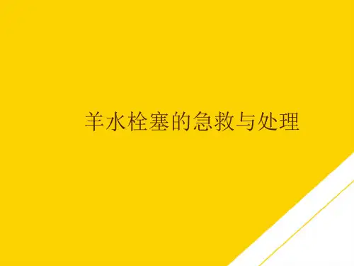 羊水栓塞的急救与处理(最全版)PTT文档