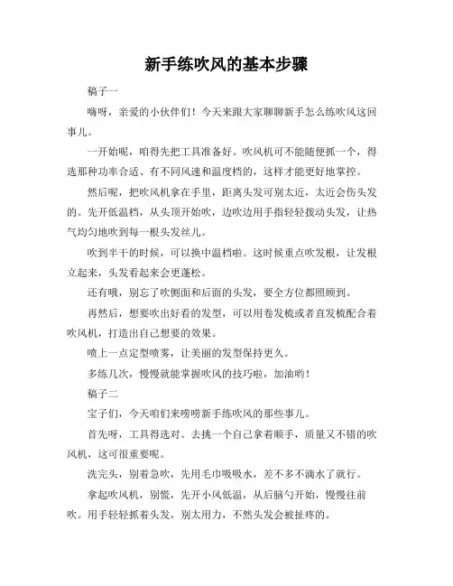 新手练吹风的基本步骤