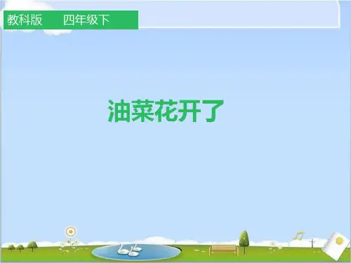 教科版四年级科学下册第二单元课件