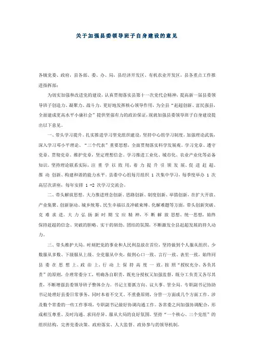 关于加强县委领导班子自身建设的意见