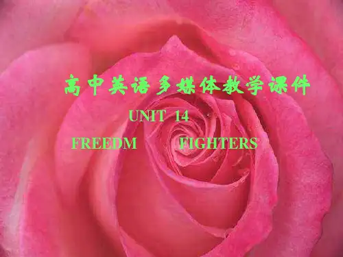 英语课件高二英语I have a dream