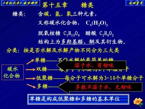 15第十五章 糖类