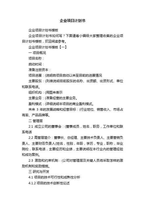 企业项目计划书模板