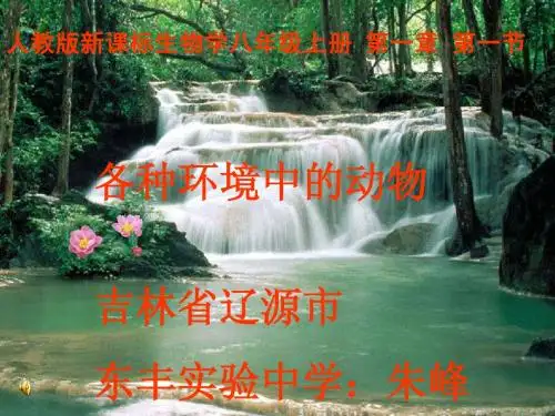 水中生活的动物