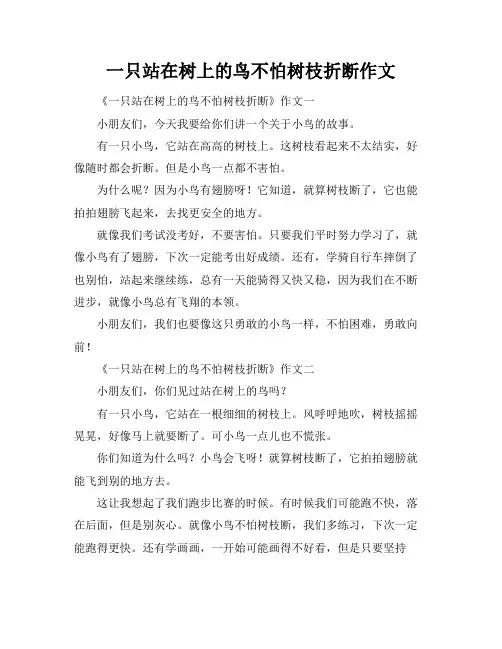 一只站在树上的鸟不怕树枝折断作文