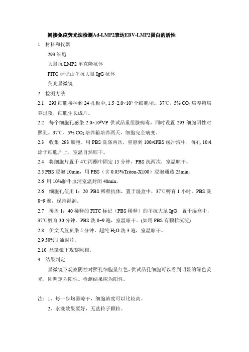 间接免疫荧光