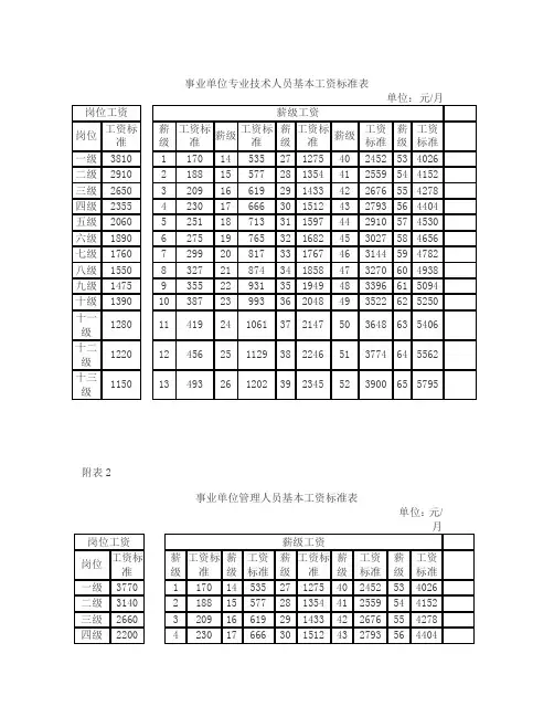事业单位专业技术人员基本工资标准表