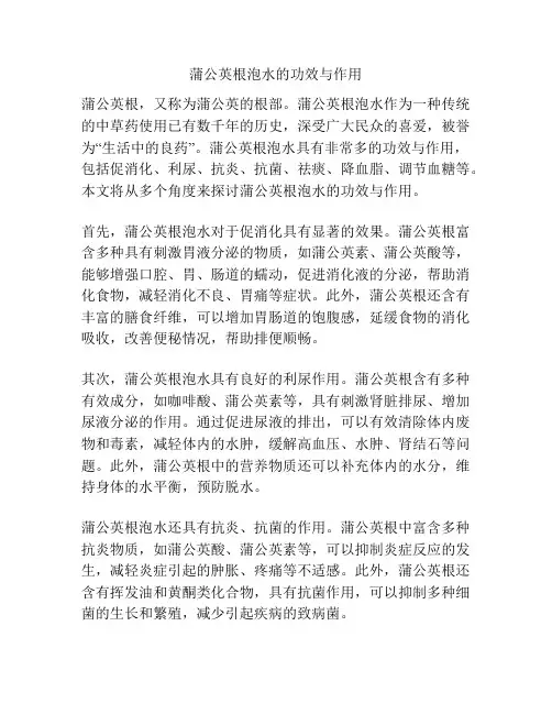 蒲公英根泡水的功效与作用