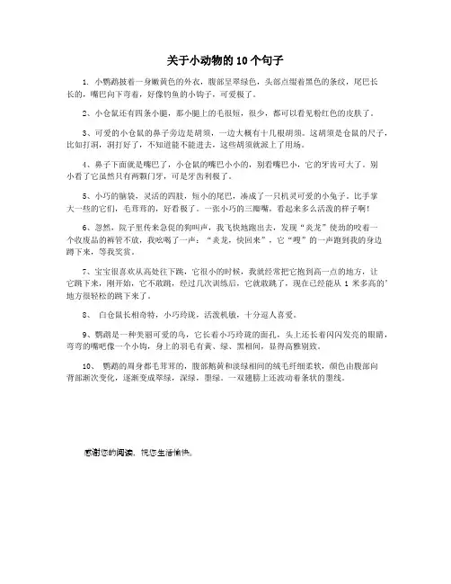 关于小动物的10个句子