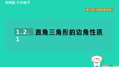 1.2直角三角形——直角三角形的边角性质+练习课件+2023-—2024学年北师大版数学八年级下册