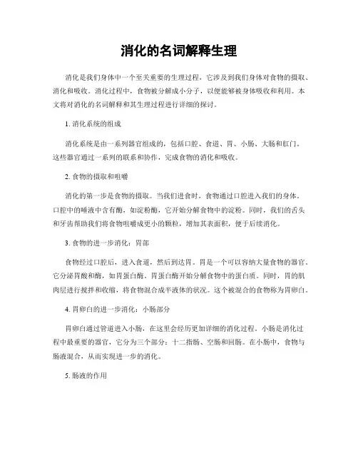消化的名词解释生理