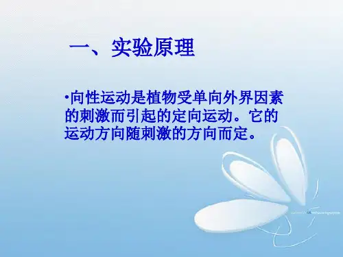 植物的向性