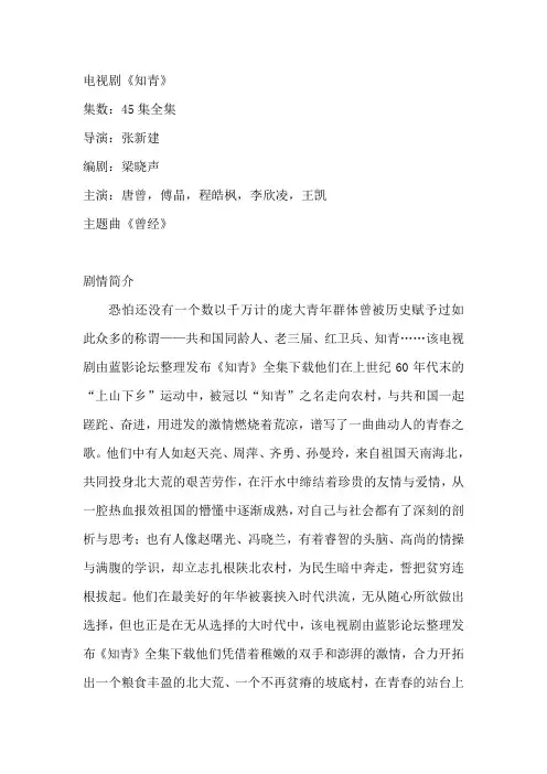 电视剧《知青》剧情介绍