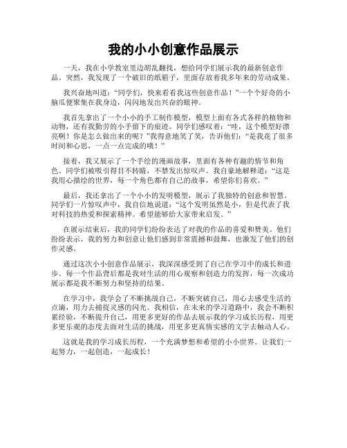 我的小小创意作品展示