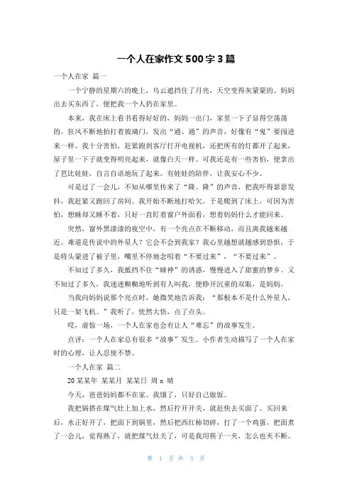 一个人在家作文500字3篇