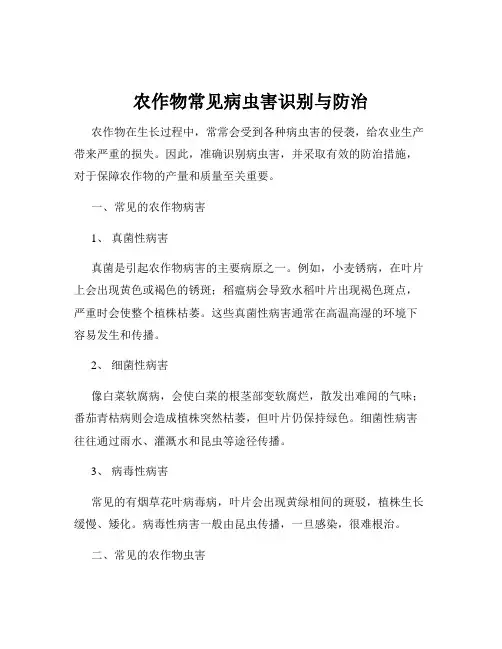 农作物常见病虫害识别与防治