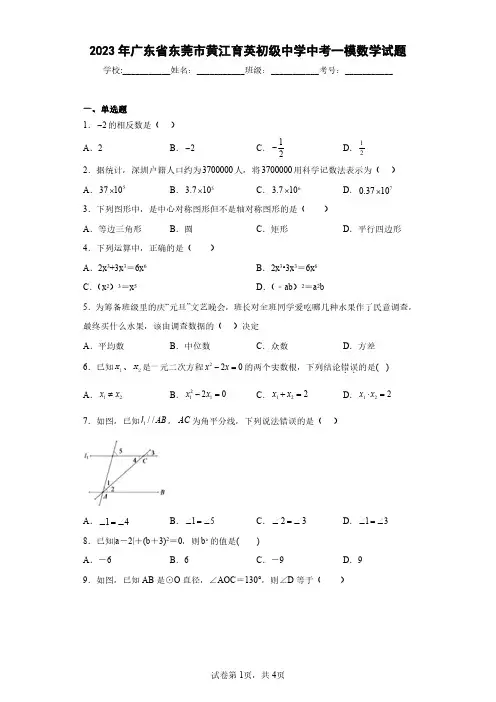 2023年广东省东莞市黄江育英初级中学中考一模数学试题(含答案解析)