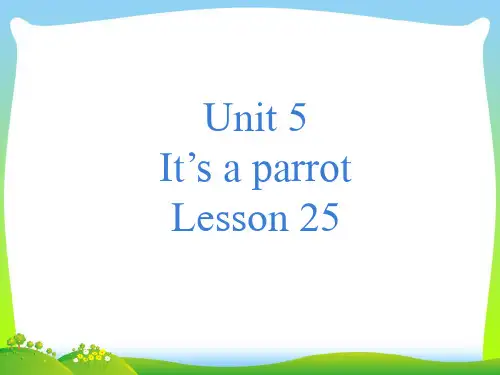 新人教精通版三年级英语下册 Unit 5 It%27s a parrot Lesson 25 课件1.ppt