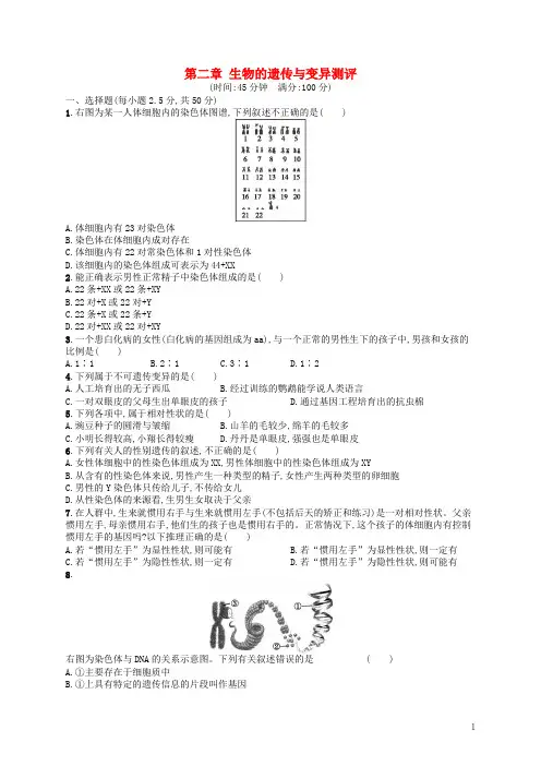 八年级生物下册 第七单元 第二章 生物的遗传与变异测评练习 (新版)新人教版