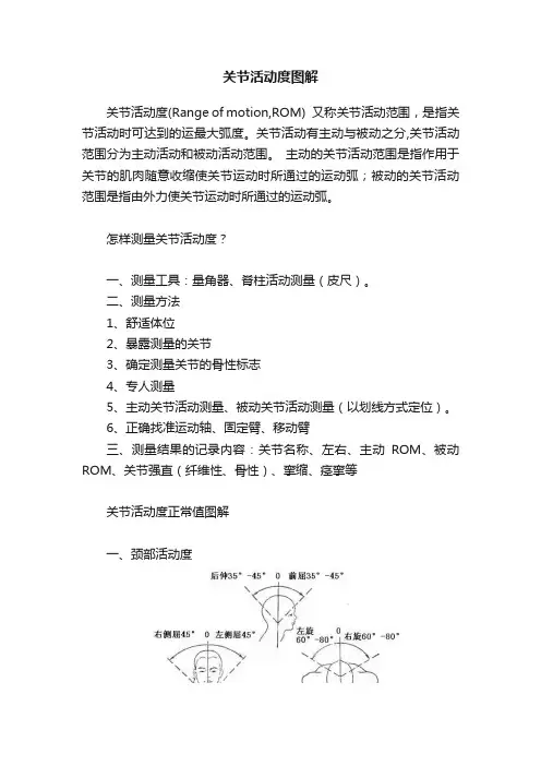 关节活动度图解