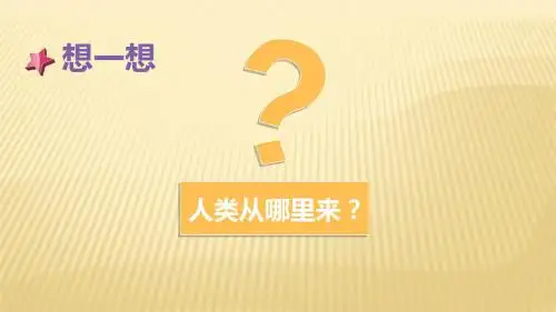人教部编版七年级历史上册第一课中国早期人类的代表—北京人课件 (共28张PPT)