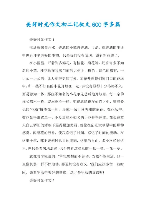 美好时光作文初二记叙文600字多篇