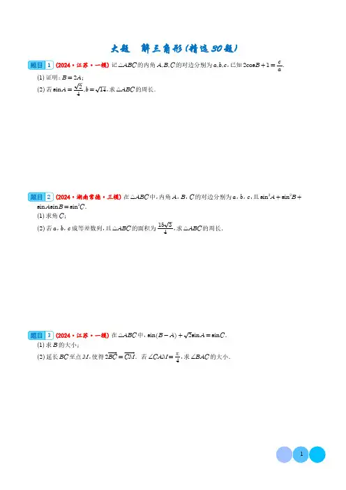 大题  解三角形(精选30题)(学生版)-2024届新高考数学大题
