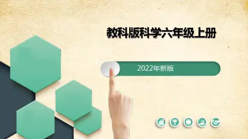 神奇的小电动机 课件 教科版科学六年级上册