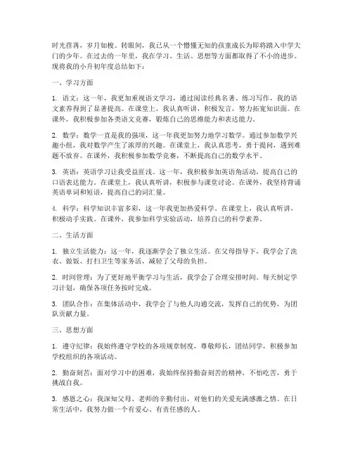 小升初年度总结