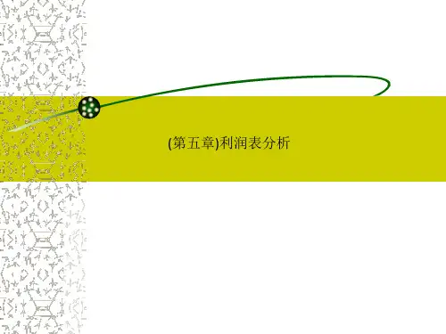 (第五章)利润表分析