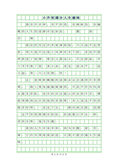 2019年小升初满分作文人生滋味