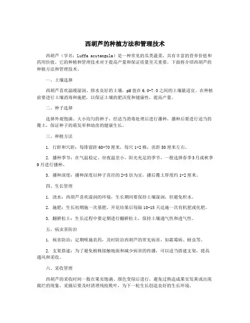 西胡芦的种植方法和管理技术