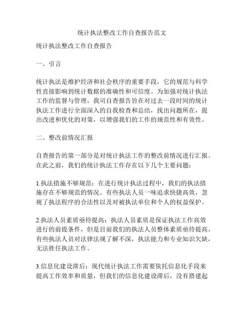 统计执法整改工作自查报告范文
